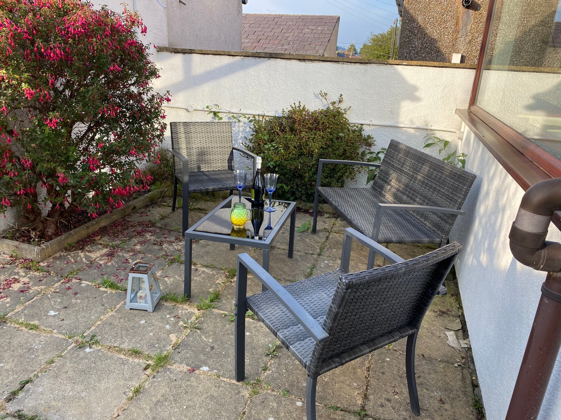 40 Orme Road rear garden